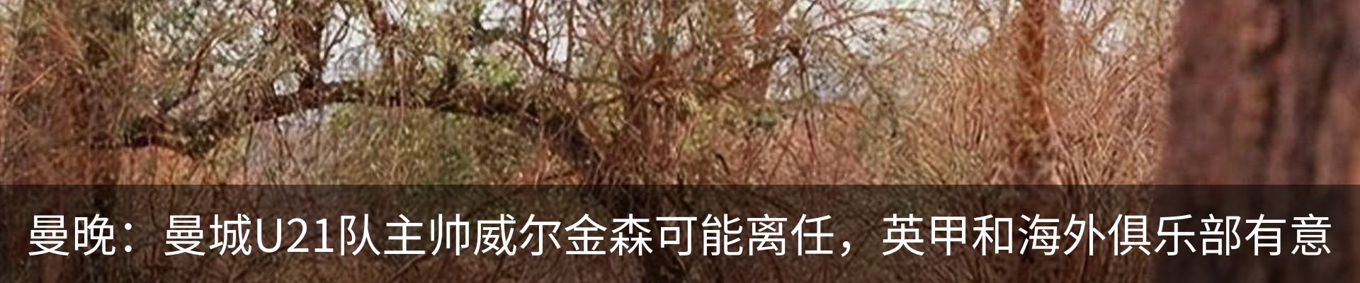 新闻动态
